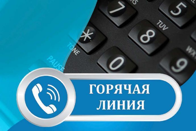 Телефон «горячей линии».